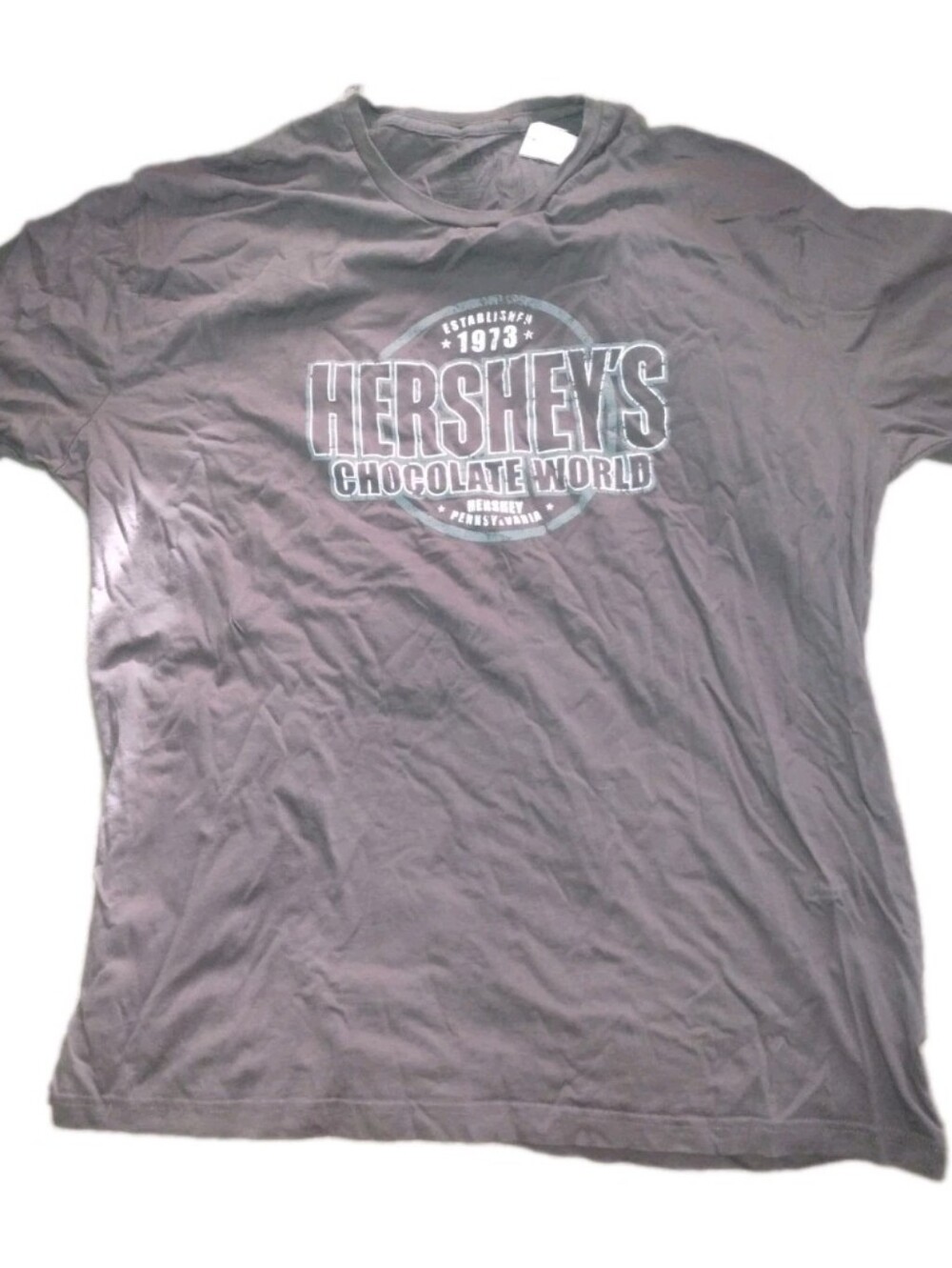 Hershey's Chocolate World Men's Crew Neck T‑Shirt in Dark Brown 2XL